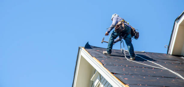 Roof Gutter Cleaning in Canaan, CT